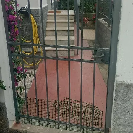 Di Massimo C *
