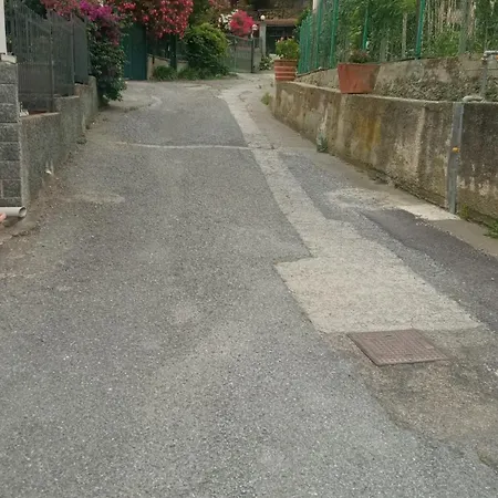 Di Massimo C Spotorno